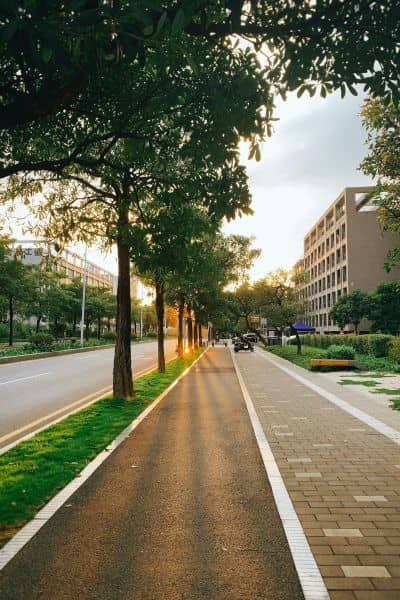 Urban planning complete street design - ALTA SURVEY Michigan Urban planning example of a complete street with wide sidewalks, bike paths, and trees creating a safer and more walkable corridor