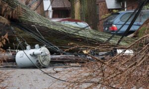Fallen tree damaging power lines in a residential area, showing why engineering services are important for infrastructure planning and risk prevention